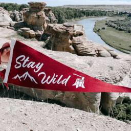 stay Wild Pennant Flag/Felt Pennant Wall Hanging Banner Gallery Outdoors Travel Adventure Kids Bedroom Wild Child - thumbnail 4