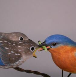 Eastern Bluebird Male With 2 Babies Hand Carved Wooden Bird - thumbnail 4