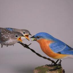 Eastern Bluebird Male With 2 Babies Hand Carved Wooden Bird - thumbnail 2