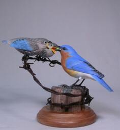 Eastern Bluebird Male With 2 Babies Hand Carved Wooden Bird - thumbnail 3
