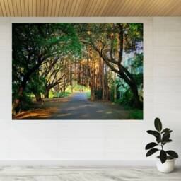 Banyan Trees Forming A Tunnel 3D View Wall Sticker Poster Decal A292