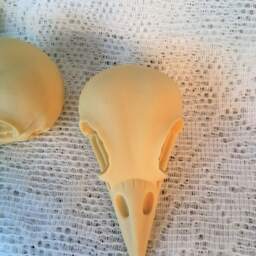 3 Ivory Resin Bird Skull Cabochons - Taxidermy Steampunk Gothic Charms - 75x40mm - thumbnail 3