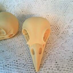 3 Ivory Resin Bird Skull Cabochons - Taxidermy Steampunk Gothic Charms - 75x40mm - thumbnail 2
