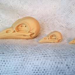 3 Ivory Resin Bird Skull Cabochons - Taxidermy Steampunk Gothic Charms - 75x40mm - thumbnail 4