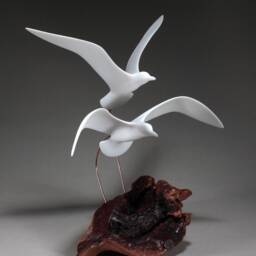 Seagull Sculpture By John Perry Duo 16In Wingspan On Burlwood. Signed - thumbnail 2