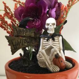 Orange & Black Skeleton - thumbnail 4