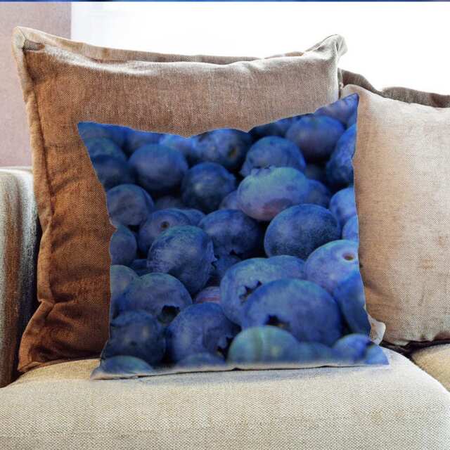 Blueberrys Photography - Decorative Pillow Throw Cushion Fabric , Case Cover Or With Filling