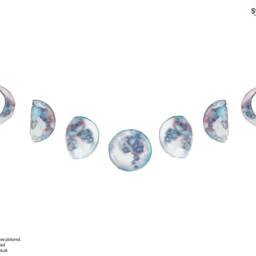Moon Phases Wall Stickers, Wall Stickers, Phases Decal, Art, Watercolour Sticker - thumbnail 3