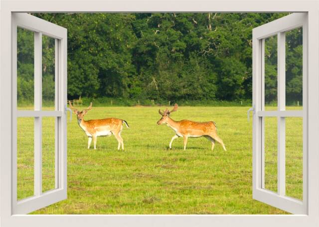 Red Deer in The Forest Wall Decal, Sticker, 3D Window View Nature Mural, Home Decor