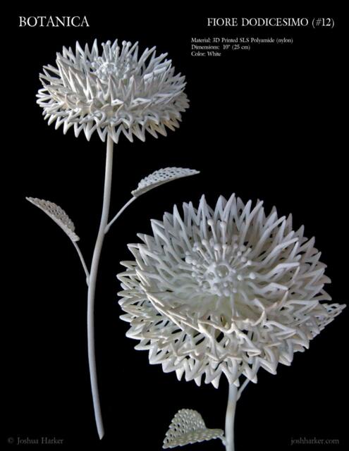 Fiore Dodicesimo - 3D Printed Filigree Flower By Joshua Harker