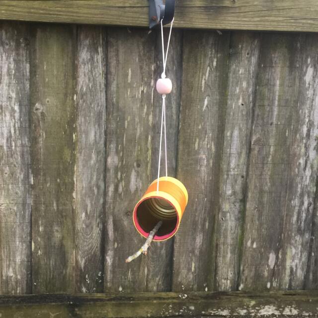 Tweet Bird Feeder - image 1