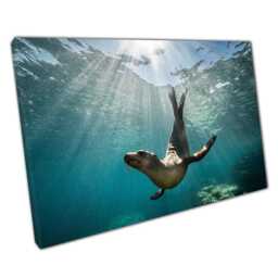 Sea Lion Canvas Wall Art Baja California Ocean Sunset D??cor For Home Office - thumbnail 1