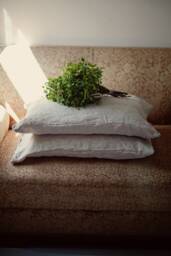 Softened Linen Pillow Cover, 20x30