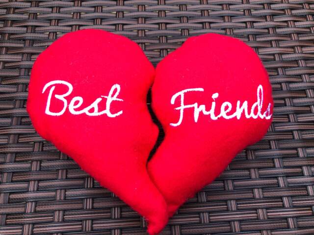 Best Friend Split Heart Cushions, Valentines Gift, Gift For Friends, Friend Pillow - image 1