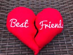 Best Friend Split Heart Cushions, Valentines Gift, Gift For Friends, Friend Pillow - thumbnail 1