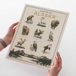 Alaska Wildlife Wall Art Print - Vintage Animal Poster Design, Archival Quality Matte Fine Art Print. Outdoor, Wilderness State Gift - thumbnail 1