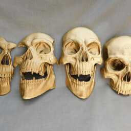 Gold Skulls With Fangs Set Of 4 3D Printed Gothic Wall Decor - thumbnail 3