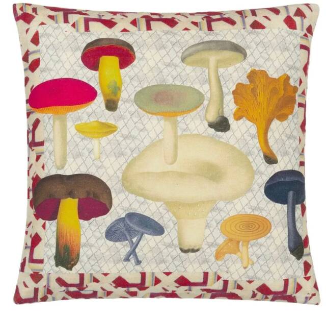 Designers Guild/John Derian Fabric Cushion Cover 50x50cm Chanterelle Carmine Ccjd5065 - image 1