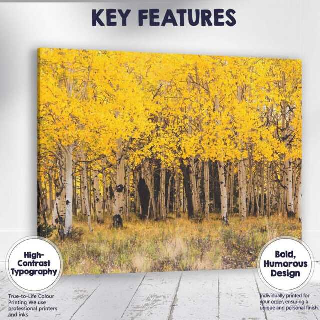 Golden Aspen Forest Autumn Woodland Nature Photography Canvas Wall Art Print Decor Picture Ready To Hang - image 1