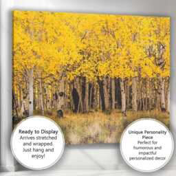 Golden Aspen Forest Autumn Woodland Nature Photography Canvas Wall Art Print Decor Picture Ready To Hang - thumbnail 3