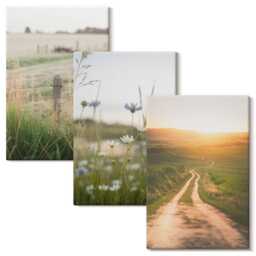 3 Piece Canvas Set - Nature Landscapes With Fields & A Path in The Sun, Green Wall Art Print, Hanging - thumbnail 2