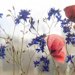 Flower Design Lamp Poppies, Epoxy Resin Table Modern, Flowers Light Decor, Accent Lighting - Night Lamps For Tables - thumbnail 3