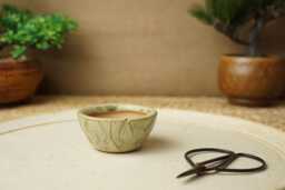 Handmade Green Mame Bonsai Pot. 6.5cm Diameter, 3cm High. G2512 - thumbnail 1