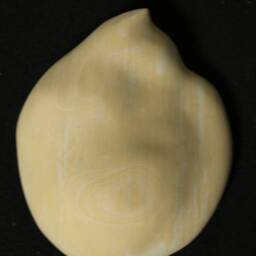 Cat, Dreaming - Limestone Sculpture Hanging Object, Animal Symbol - thumbnail 3