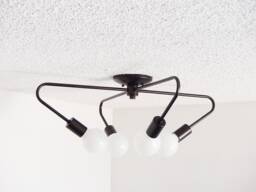 Modern Flush Mount - Ceiling Light Bulb Cluster Living Room Lighting Dining Bathroom Bedroom Ul Listed - thumbnail 1