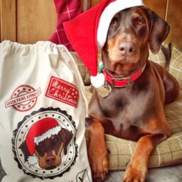 Personalised Santa Paws Dog Breed Sack, Dog Christmas Gift, Cat Stocking, Lover Pet Lover, Illustrations, Breeds - thumbnail 2
