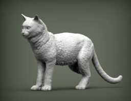 Cat Standing -3D Printed - For Lovers, Ornament, Memorial, Gift - thumbnail 1