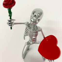 Valentine Skeleton - Small - thumbnail 2