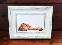 Dogue De Bordeaux Print 17x12cm - White Rustic Frame - Mastiff Wall Art, Gift For Ddb Owners - thumbnail 1