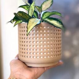 "Wood Modern Planter ""Perforated Natural" - thumbnail 2