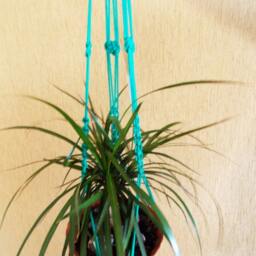 Green Strong Macrame Plant Hanger 36 Inches 3mm Hanging Planter - thumbnail 2