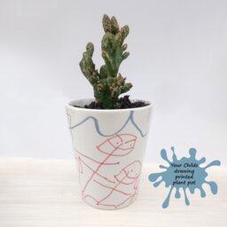 Design Your Own Plant Pot Birthday Gift For Grandma Ceramic Indoor Childs Drawing -Easter From Kids Christmas Gift - thumbnail 1