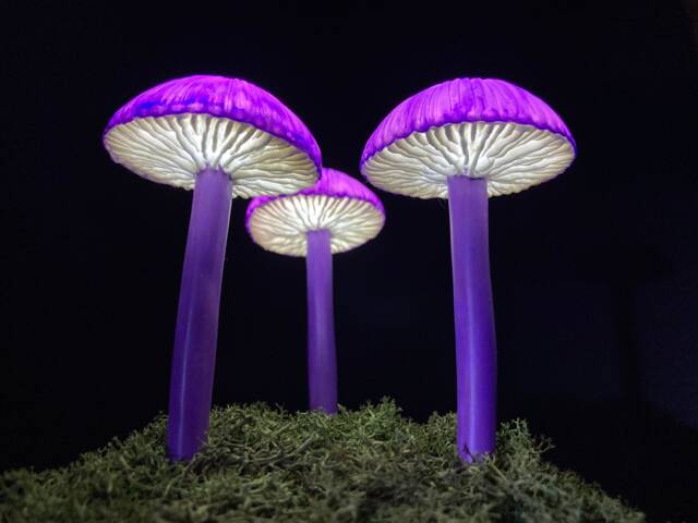 Purple Glow Mushroom Lamp Gothic Fantasy Led Night Light - image 1
