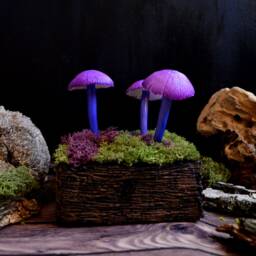 Purple Glow Mushroom Lamp Gothic Fantasy Led Night Light - thumbnail 3