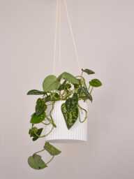 Ribbed Hanging Planter Pot 4 - thumbnail 1