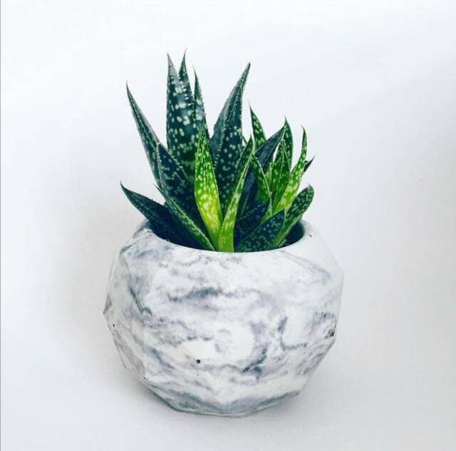 Geometric Concrete Planter, Cement Succulent Pot, Marble Pots, Cactus Small Black & White - image 1
