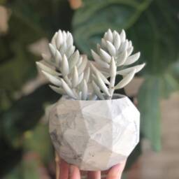 Geometric Concrete Planter, Cement Succulent Pot, Marble Pots, Cactus Small Black & White - thumbnail 2