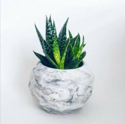 Geometric Concrete Planter, Cement Succulent Pot, Marble Pots, Cactus Small Black & White