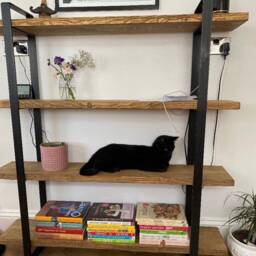 Reclaimed Wood Bookcase Rustic Shelving Unit, Room Divider - thumbnail 3
