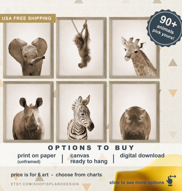 Safari Baby Animals Wall Art, Zoo Animal Nursery Prints, Jungle For Nursery, Photos - image 1