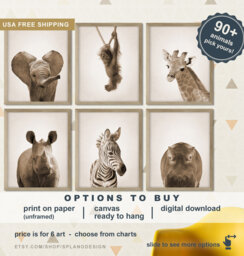 Safari Baby Animals Wall Art, Zoo Animal Nursery Prints, Jungle For Nursery, Photos - thumbnail 1