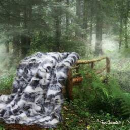Gray Tibetan Fox Faux Fur Throw Blanket, Minky Cuddle Lining