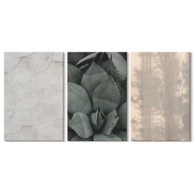 Set Of 3 Canvas Prints - Summer Textures Close-Up in A Tropical Climate, Beige Wall Art Print, Natural Decor - image 1