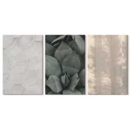 Set Of 3 Canvas Prints - Summer Textures Close-Up in A Tropical Climate, Beige Wall Art Print, Natural Decor - thumbnail 1