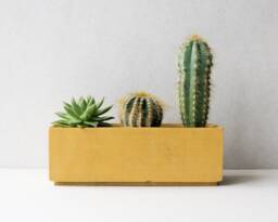 Yellow Terracotta Concrete Planter Box - Minimalist Pot Succulent Plant Rectangular Nursery