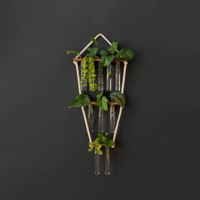 Propagation Station, Wall Hanging, Test Tube Holder For Propagating Plant Cuttings in Water, Hanging Room Decor - image 1